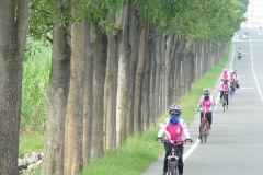 大事蹟_pic_06-800x610